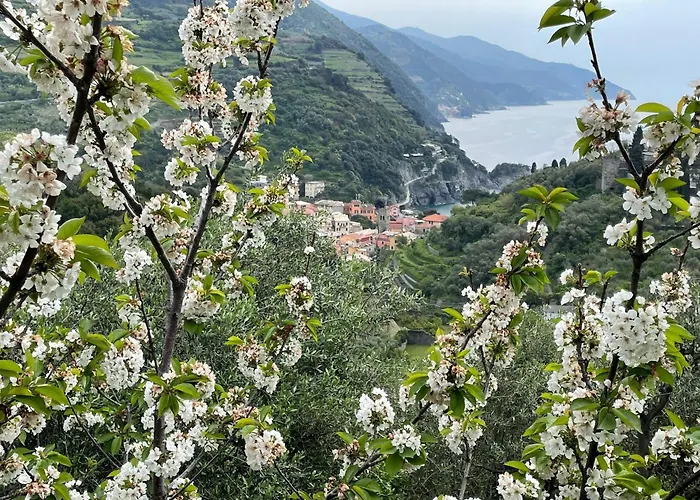 Con Vista Mozzafiato Sul Mare - * Monterosso al Mare