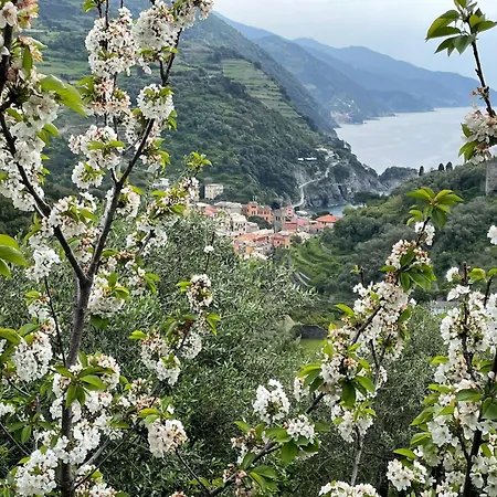 Con Vista Mozzafiato Sul Mare - * מונטרוסו אל מארה